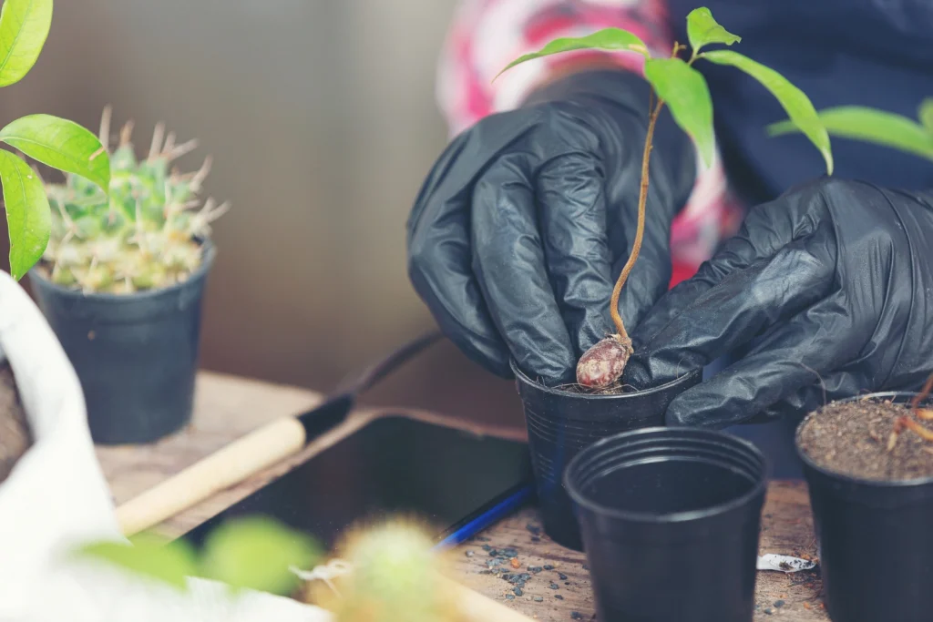 AgriSETA 2026 Internship Programme